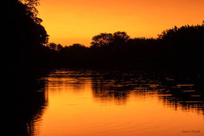 Sonnenuntergang im Naturreservat in Südafrika