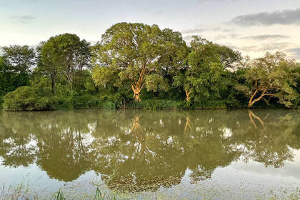 Natur im Nationalpark in Südafrika