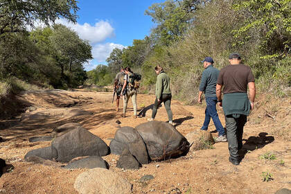 Fährtenlesen mit dem Telemetrie-Geräte