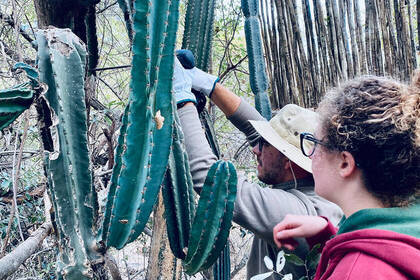 Freiwillige bei kleineren Wartungen auf dem Gelände