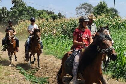 Horseback riding takes you through one of the world's largest dry forests