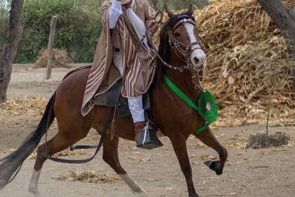 Pferdetraining auf der Rancho Santana