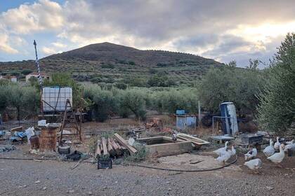 Farm und Landschaft auf Kreta