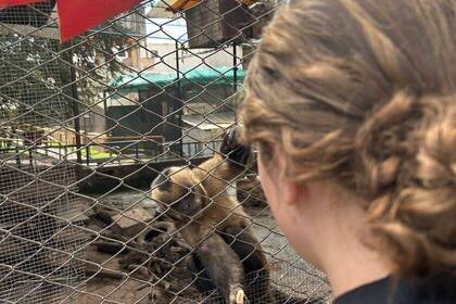 Volunteer mit einem Affen im Projekt