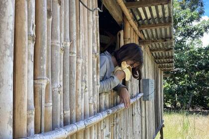 Volunteer in der Unterkunft im Amazonas