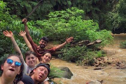 Volunteers im Projekt 