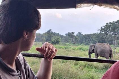 Volunteer bei der Beobachtung eines Elefanten