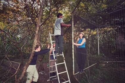 Volunteers arbeiten am Gehege