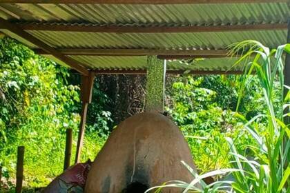 Naturschutz in Ghana