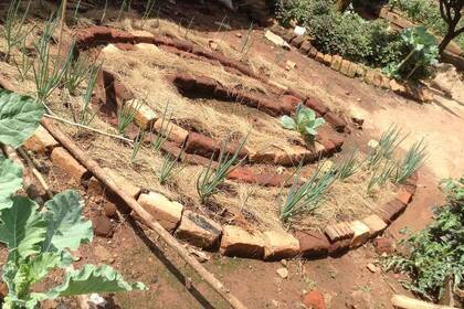 Gemüsebeet auf der Farm