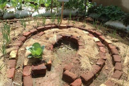 angepflanztes Gemüse