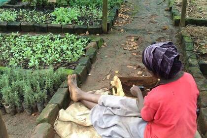 Arbeiten auf der Farm