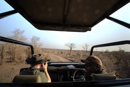 Wildtierbeobachtung in Simbabwe