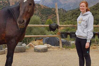 Volunteer in Andalusien