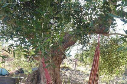 Rückzugsort im Projekt