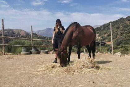 Pferdeprojekt in Andalusien