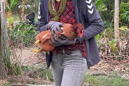 Arbeit mit Tieren im Eco Community Center 