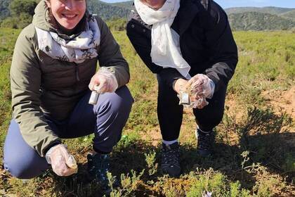 Volunteers bei der Datensammlung 