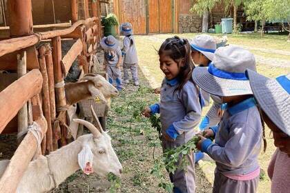 Kinder besuchen Tiere in Cusco