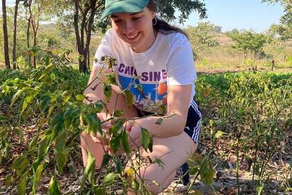 RGV Volunteer im Projekt 