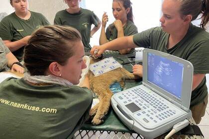 Volunteers unterstützen im Projekt 