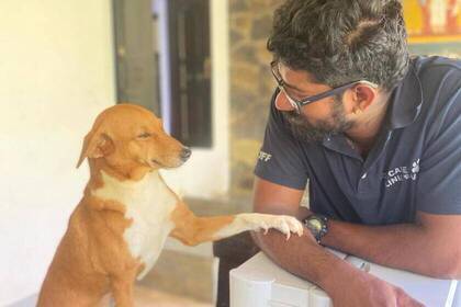 Ein glücklicher Hund 