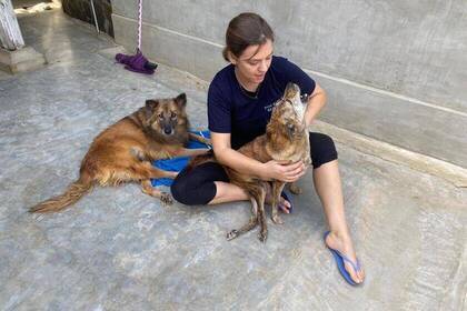 Volunteer zusammen mit zwei Hunden im Projekt 