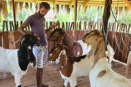 Nicht nur um Hunde wird sich gekümmert