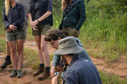 Ranger bei der Arbeit 