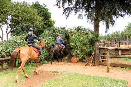 Ausritt auf der Pferdefarm in Südafrika