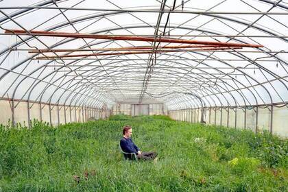 Volunteer im Gewächshaus im Eco Village