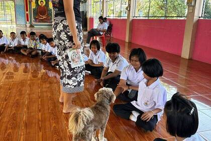 Infoveranstaltung beim Tierschutz-Praktikum in Thailand
