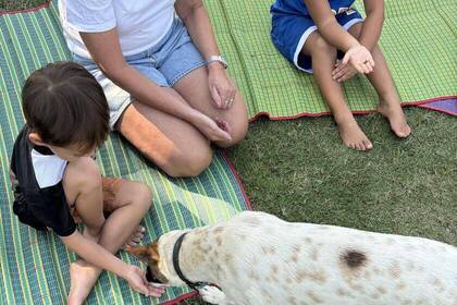 Spielen mit Hunden beim Tierschutz in Thailand