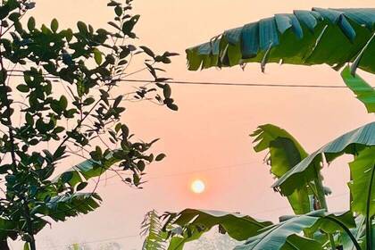 Ausblick von der Farm in Hanoi