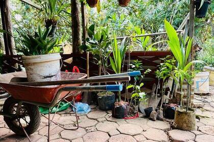 Lager auf der organischen Farm 