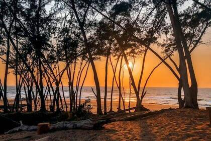 Projekt Sonnenuntergang 