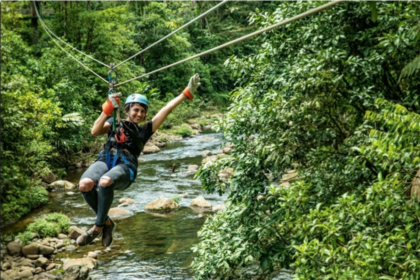 Zipline im Regenwald