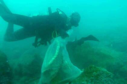 Volunteer taucht vor den Galapagos-Inseln