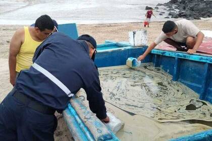 Beach Clean-Up im Galapagos-Projekt