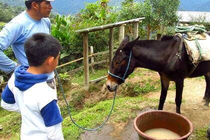 Team und Esel in der Eco-Lodge