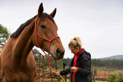 Volunteer mit einem Pferd im Projekt
