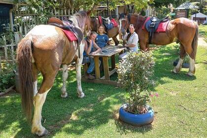 Volunteers mit Pferden 