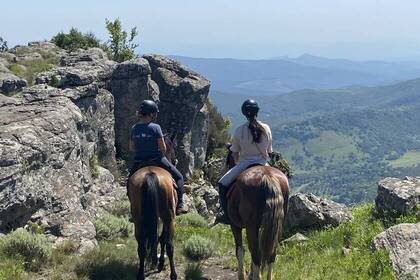 Aussicht in Südafrika 