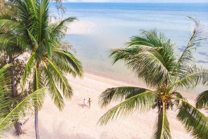 Thailand Palmen Strand