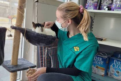 Volunteer im Projekt 