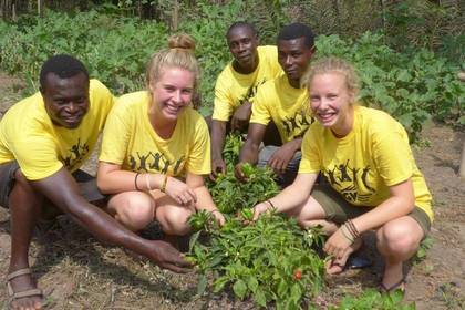 Freiwilligenarbeit Baumschule Ghana