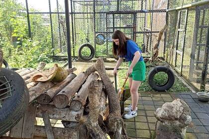 Volunteer beim Reinigen eines Geheges