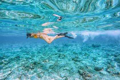 Volunteer beim Schnorcheln