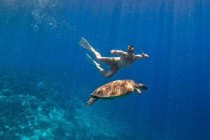 Schnorchel-Trip - Gili-Inseln