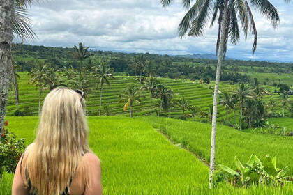 Ausflug zu Reisfeldern - Bali
